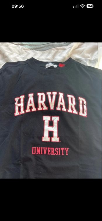 T shirt Zara Harvard