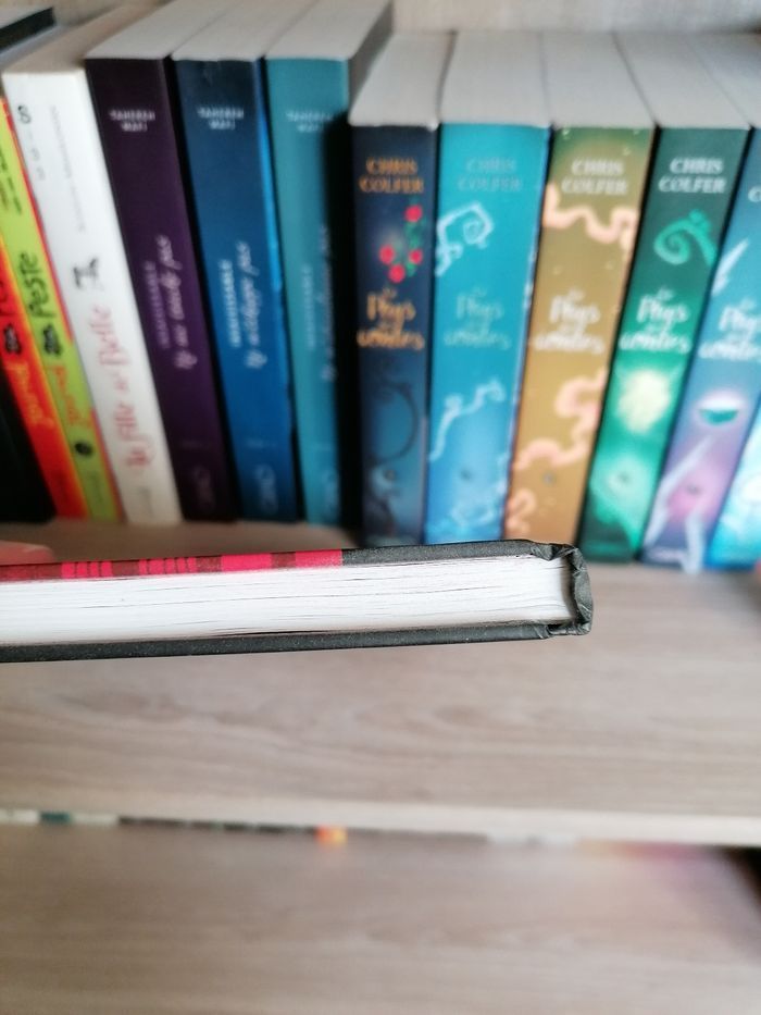 Agnès, les mystères de Planctonville - photo numéro 3