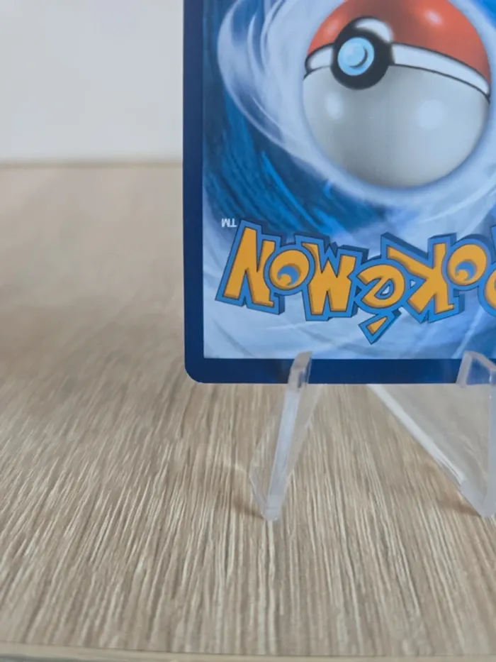 Spinda 141/195 - photo numéro 9