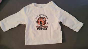 T shirt Lion