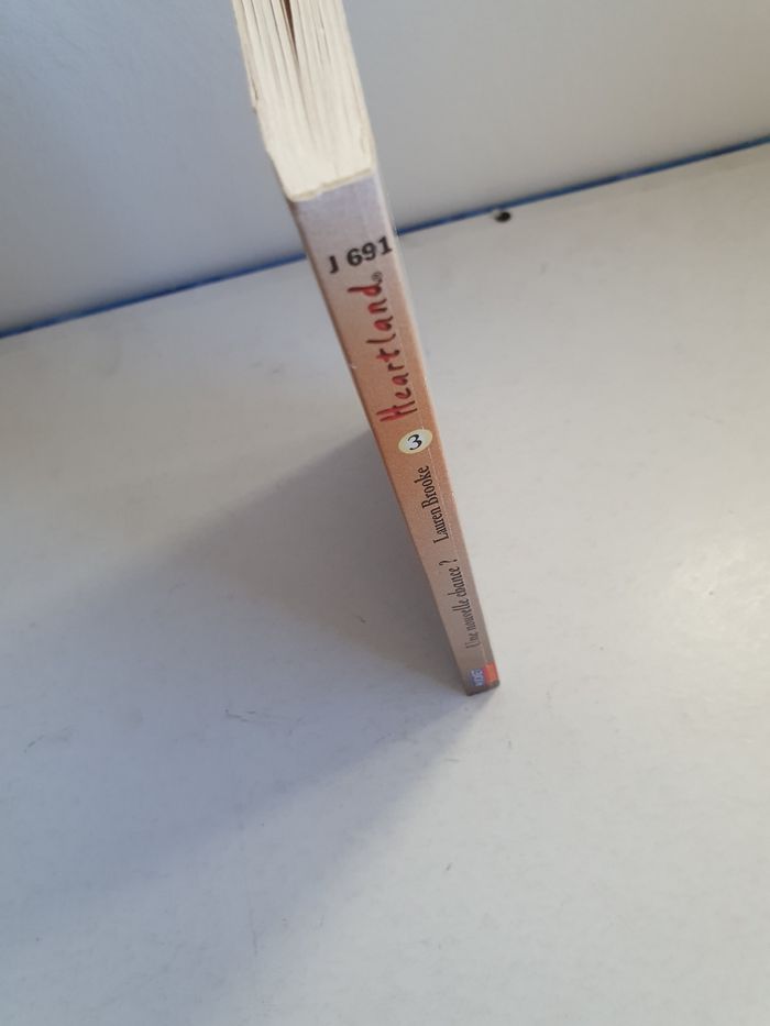 Heartland 3: Une nouvelle chance? - photo numéro 3