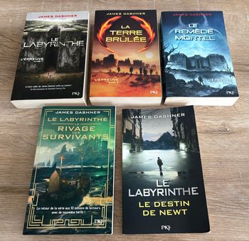 Lot collection complète trilogie livres labyrinthe + le destin de newt