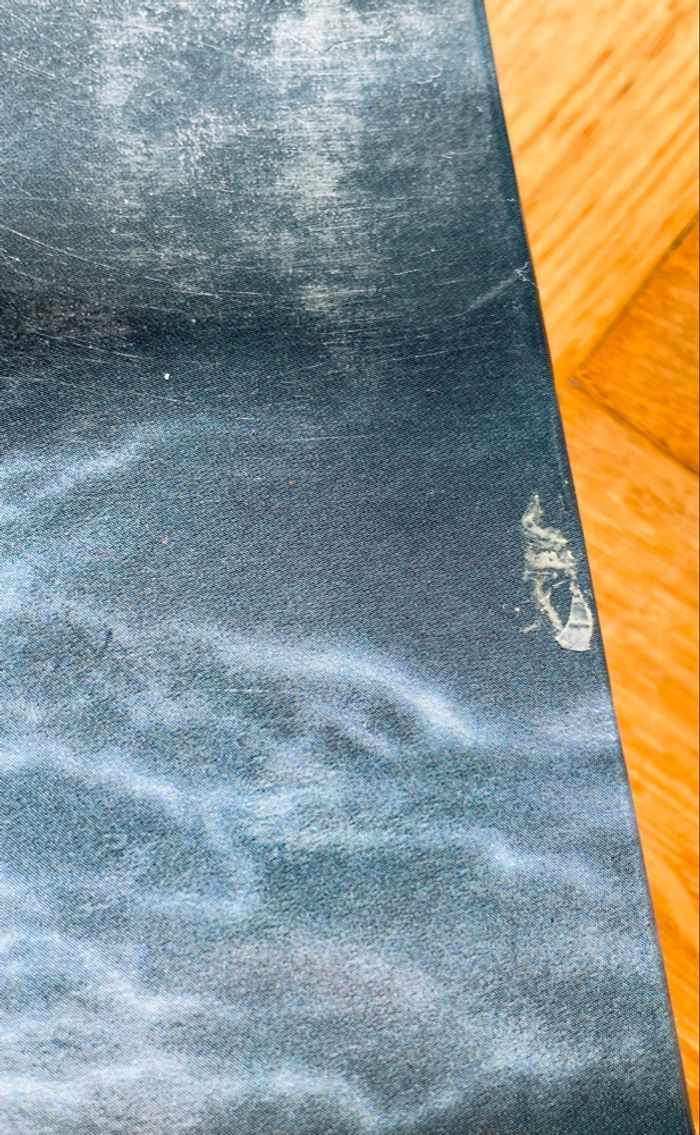 Chacun Son Chat - photo numéro 3