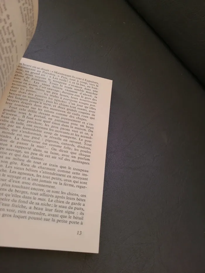 Lettres de mon moulin - photo numéro 5