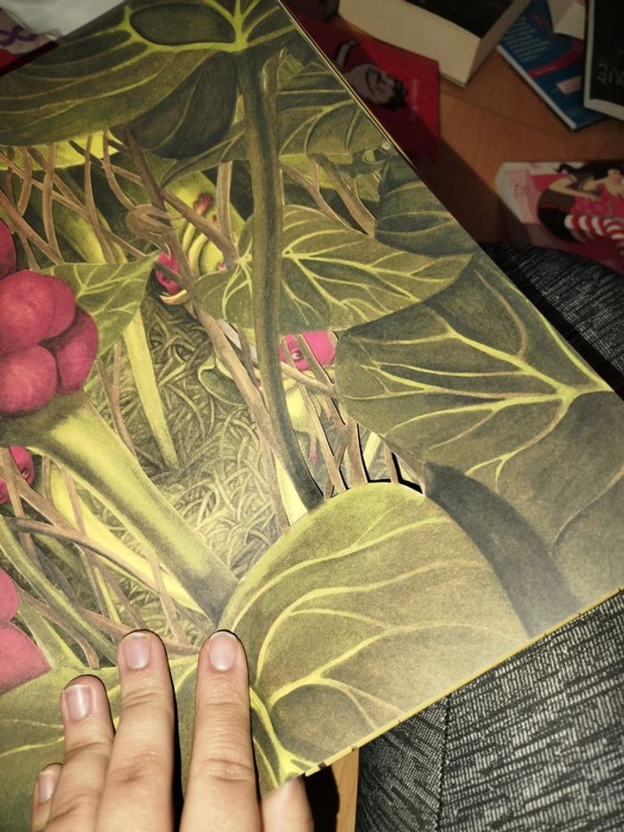 Très beau livre sur les fee - photo numéro 7