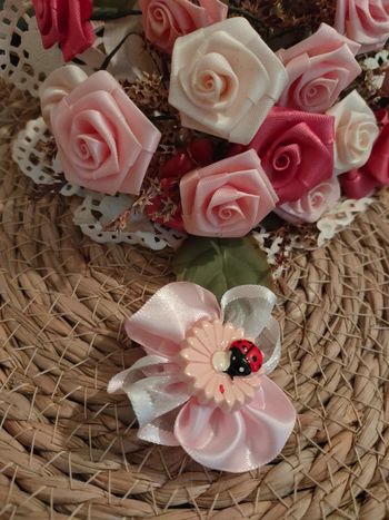 🐞Pince crocodile Motif coccinelle🐞