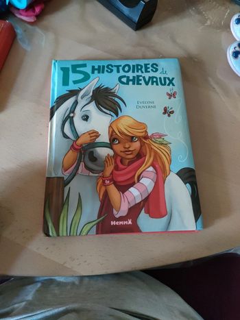 Gros livre 15 histoires de chevaux