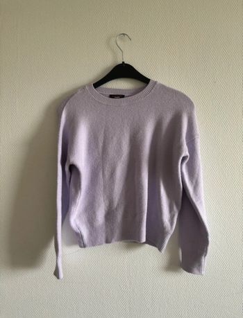 Pull lilas