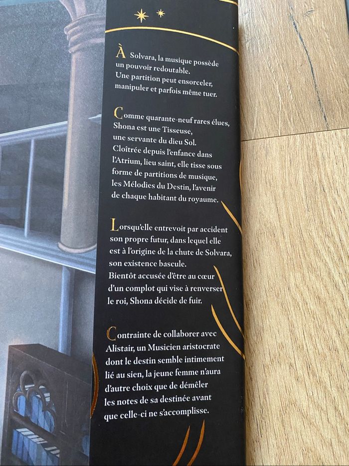 Duologie La tisseuse de mélodie - photo numéro 4