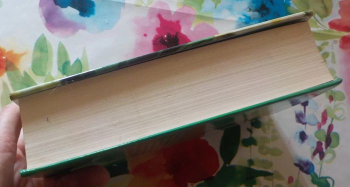 Docteurs de Erich Segal Ed. France Loisirs - photo numéro 4