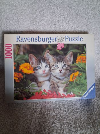 Puzzle plat - Ravensburger