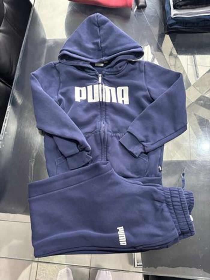 Jogging puma - photo numéro 2