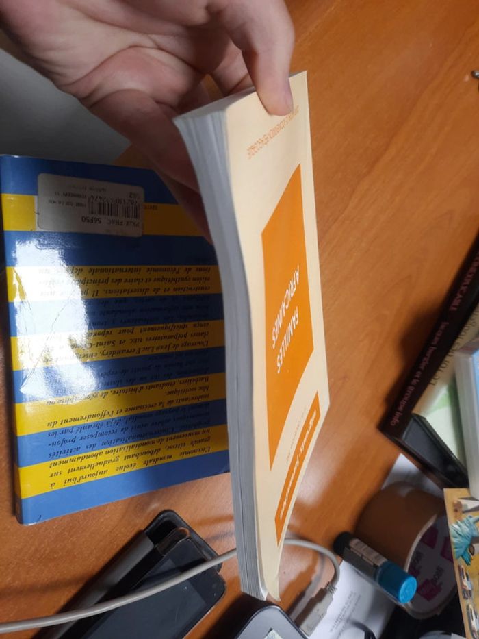 Lot de 2 livre mondialisation et famille africaines - photo numéro 7