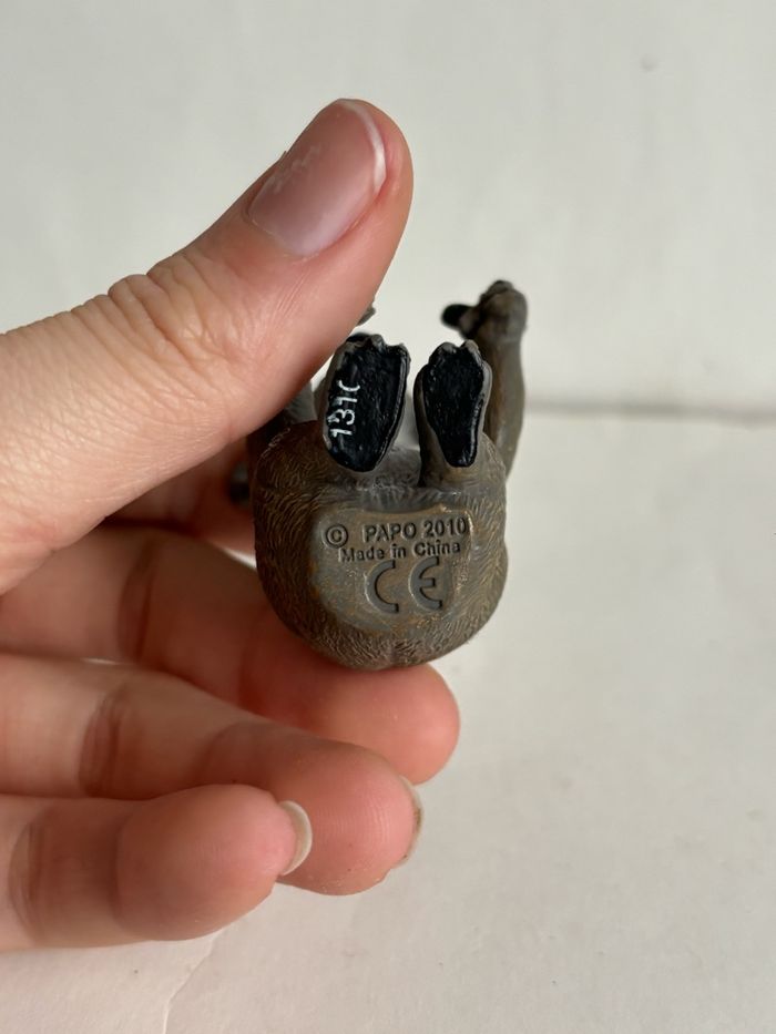 Koala papo - photo numéro 4