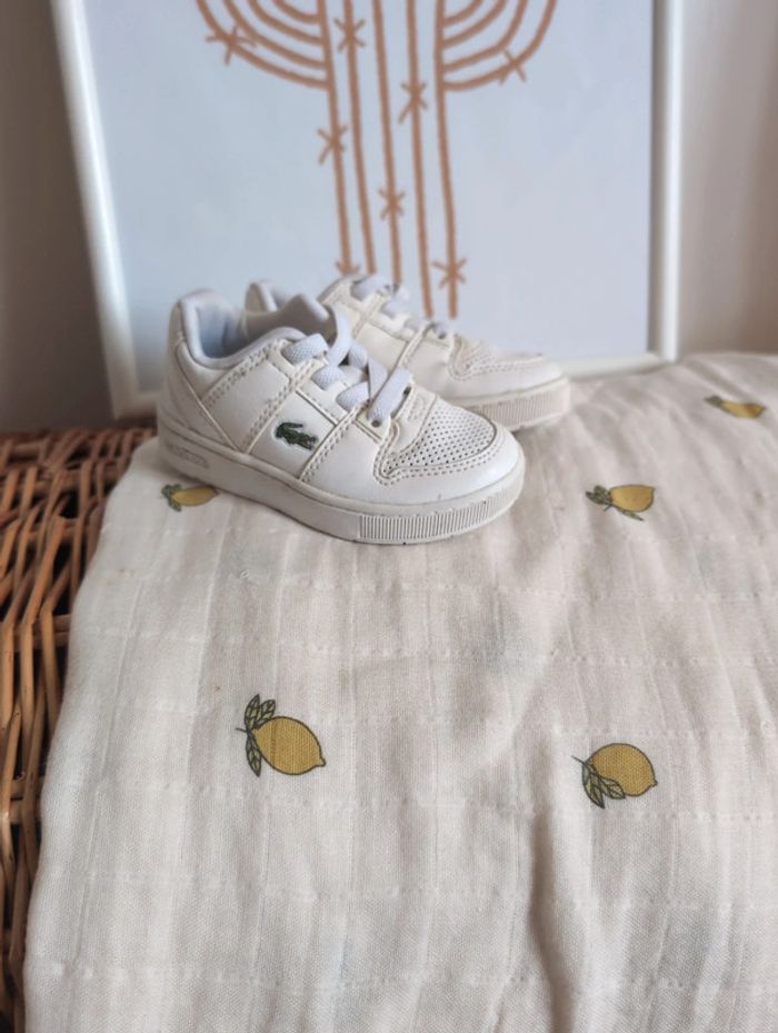 Basket Lacoste