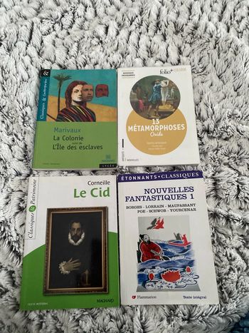 Lot livres classiques