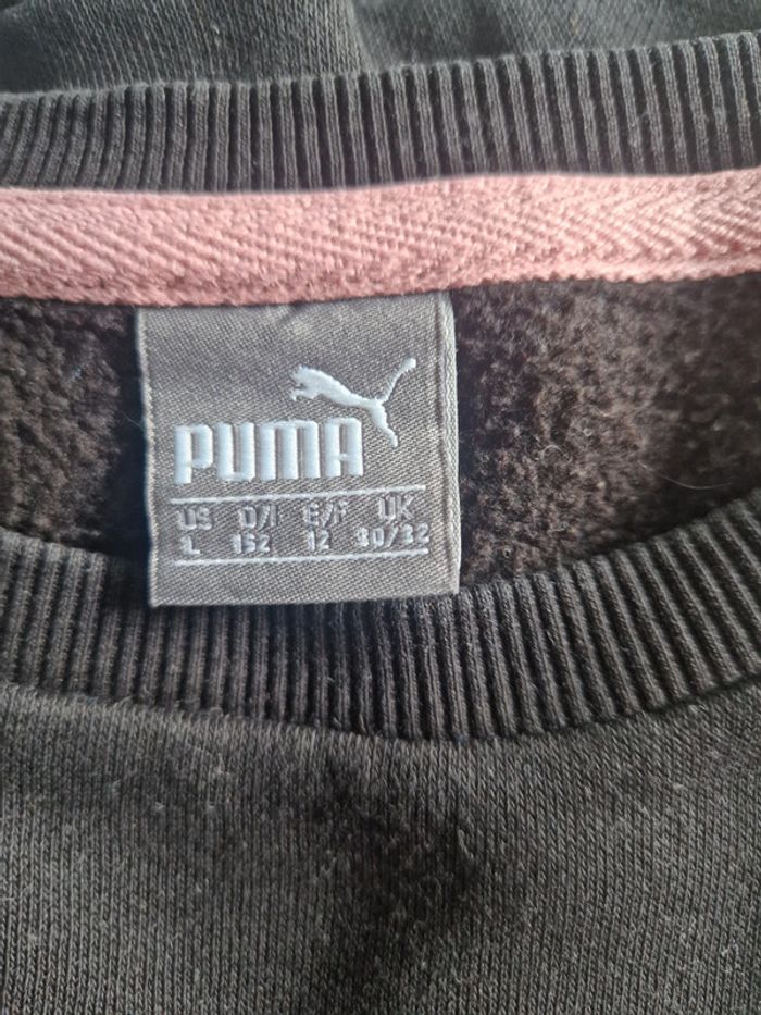 Pull puma - photo numéro 4