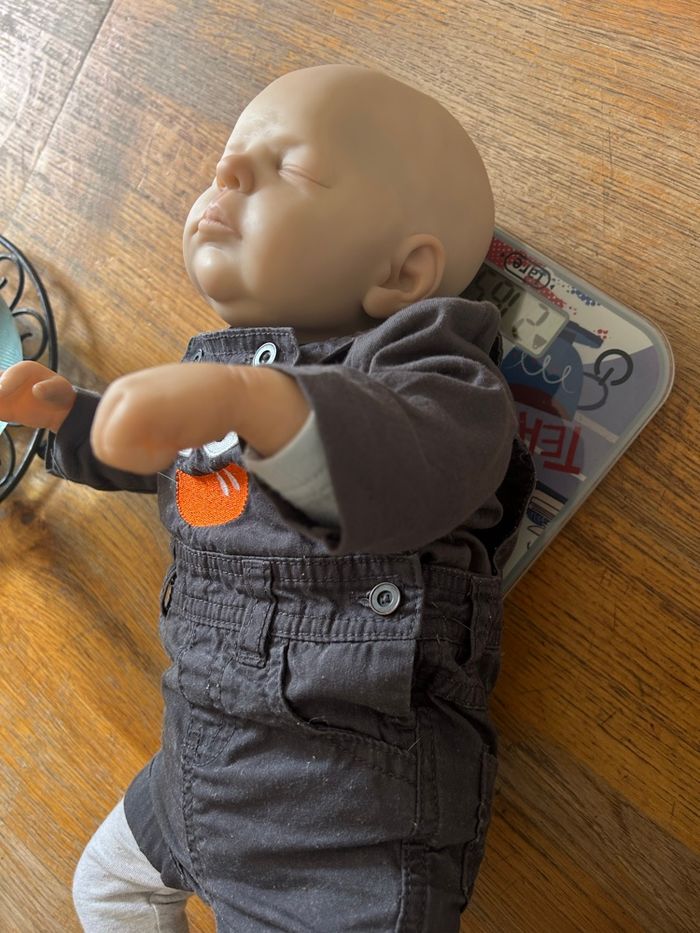 Reborn - photo numéro 6