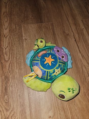 Tortue avec son bebe