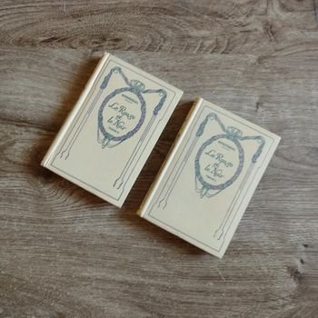 📚 Lot de 2 livres Le rouge et le noir Stendhal #emyfleury_livres