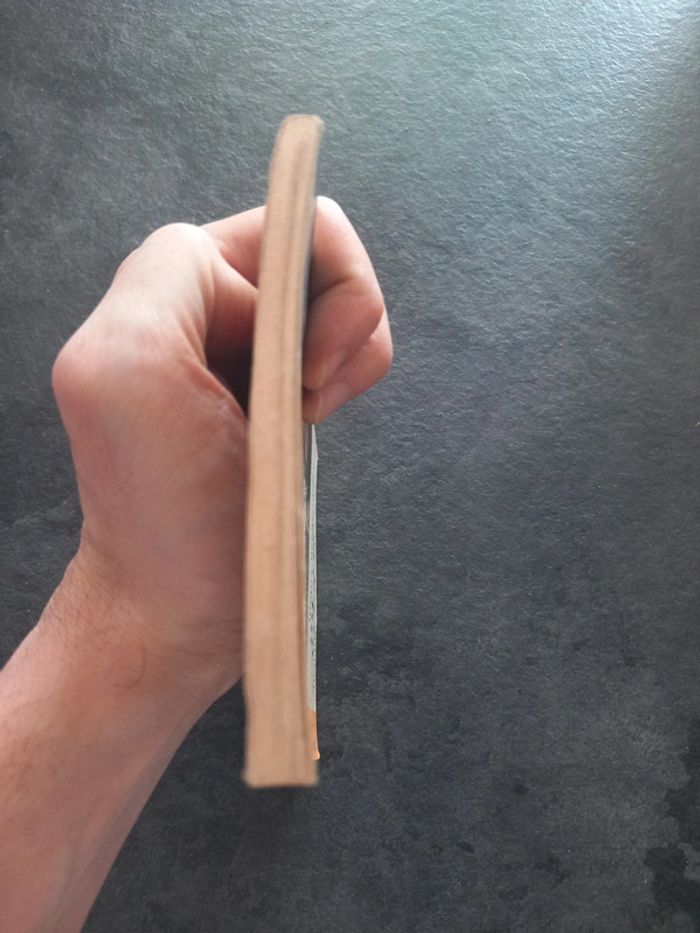 Molière le médecin malgré lui le médecin volant - photo numéro 6