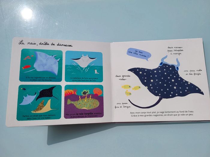 Beau livre animé 🦀 Mes animaux des mers 🐬 à toucher 🦐 Milan Jeunesse (72) - photo numéro 14