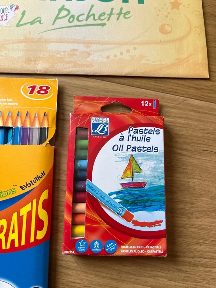 Papier Canson + crayon de couleur + pastels - photo numéro 4