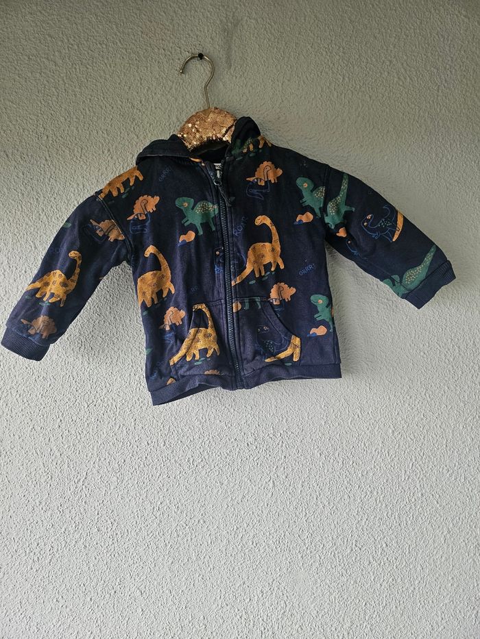 Veste zippée à capuche dinosaures pour garçon - photo numéro 2