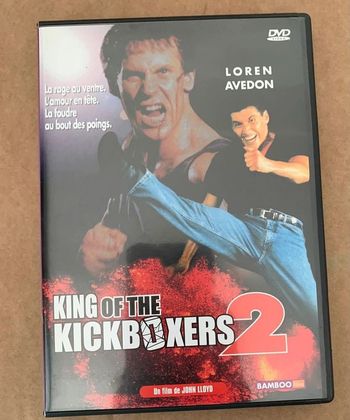 King of the kickboxers 2