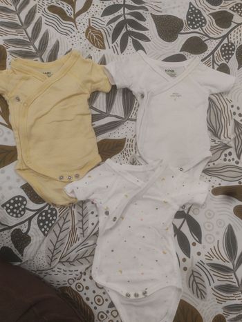 Bodys manches courtes