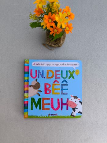 Livre Pop-up Hemma