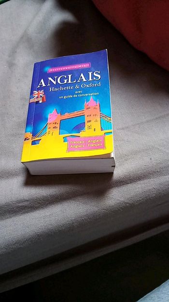 Mini dictionnaire anglais