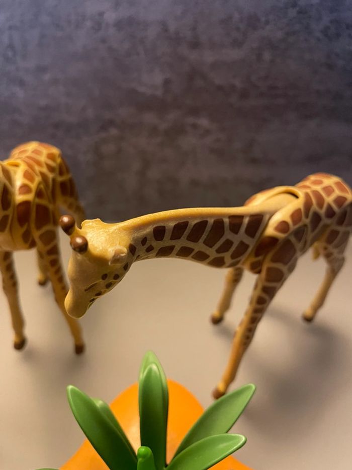 Playmobil safari girafe soigneur - photo numéro 5