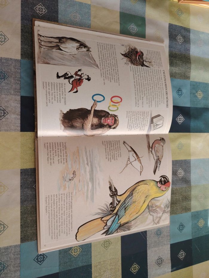 Livre sur l'éléphant - photo numéro 15