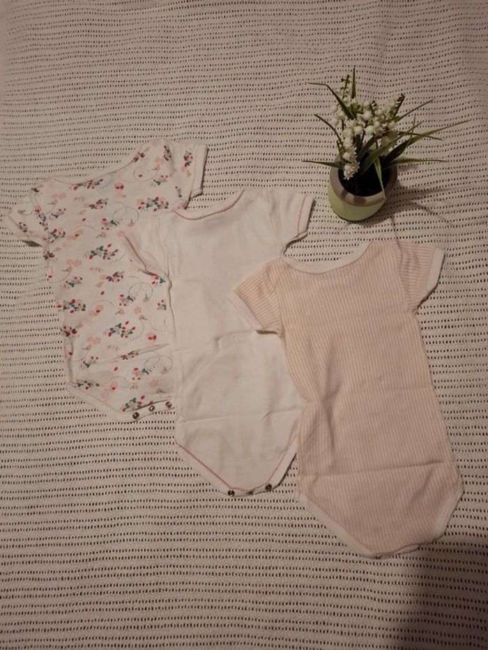 Lot Bodies 6Mois - photo numéro 7