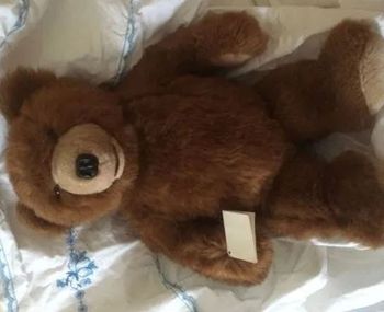 Peluche doudou  ours ourson oursonne du film Jean Jacques Annaud  L'ours 1988 doudou peluche ancien  posture debout couleur  marron taille moyenne