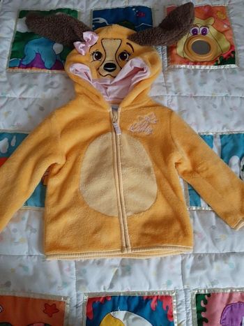 Gilet Disneyland lady