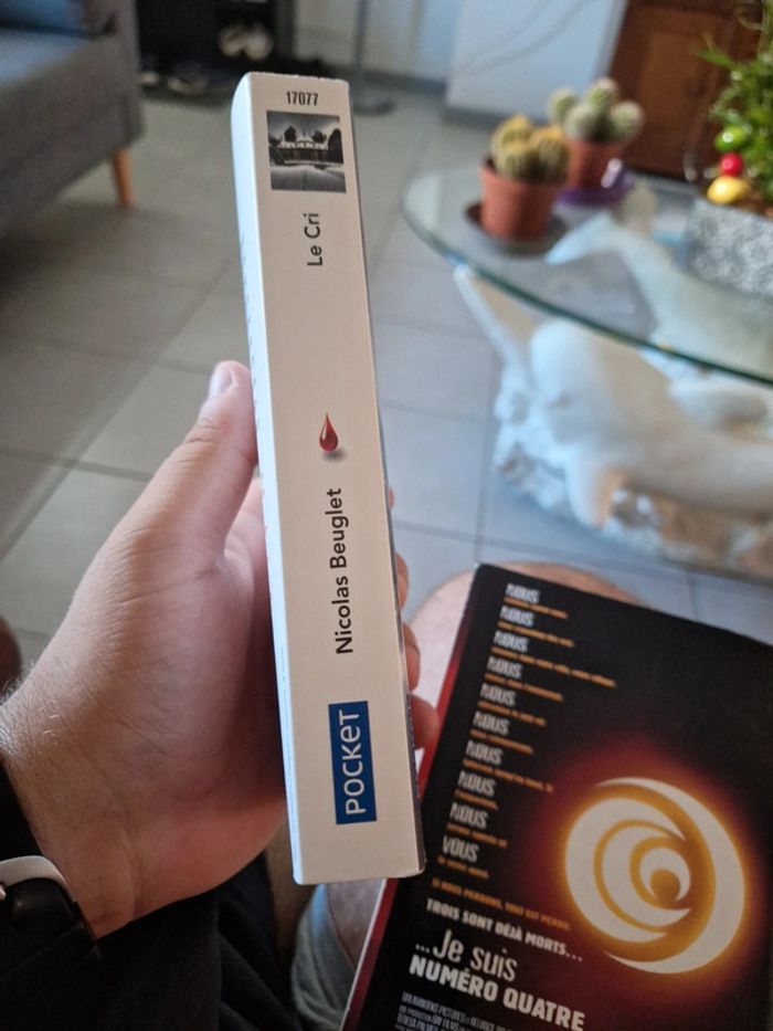 Le Cri - photo numéro 2