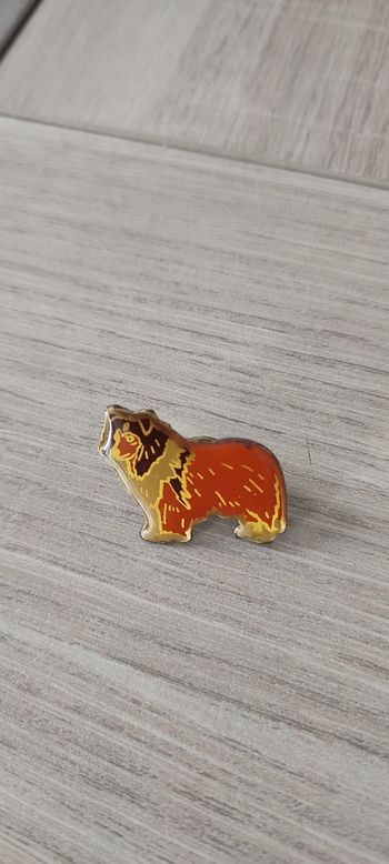 Pin's chien
