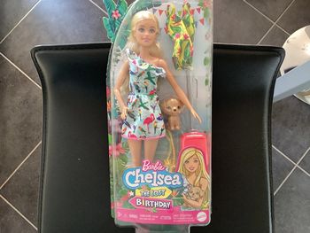 Barbie Chelsea the lost Birthday