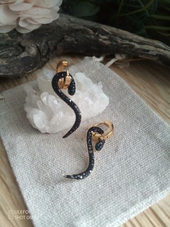 Créoles serpents noirs