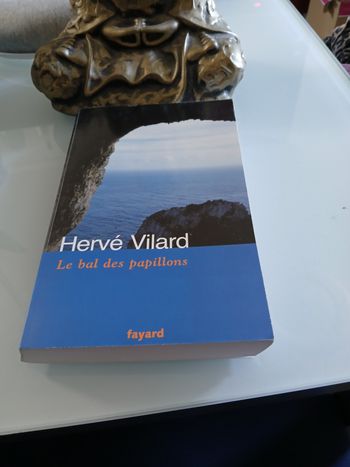LIVRE LE BAL DES PAPILLONS  DE HERVE VILLARD