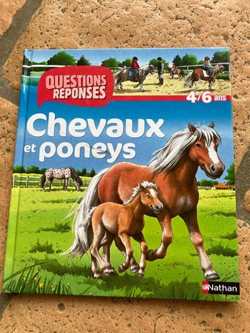 Livre chevaux et poneys