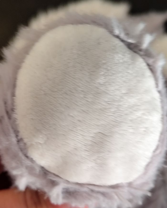 Peluche Koala 🐨 grise toute douce - photo numéro 4