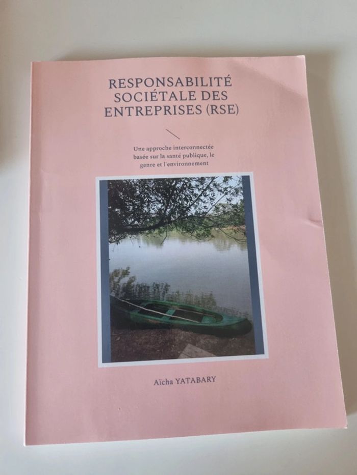 Livre sur la RSE de Aïcha Yatabary - photo numéro 4