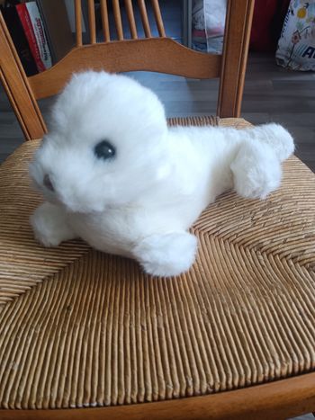 Peluche