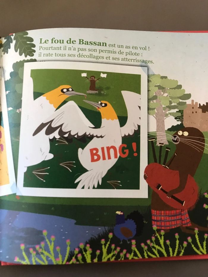 Livre Les animaux les plus drôles au monde - photo numéro 4