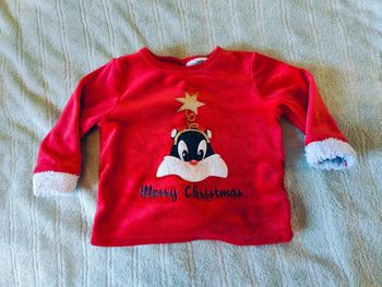 Pull Looney Tunes noël