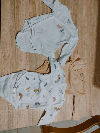 Lot de bodies renard