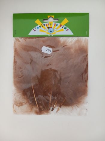 Plumes beige  diy déco ou loisirs créatifs